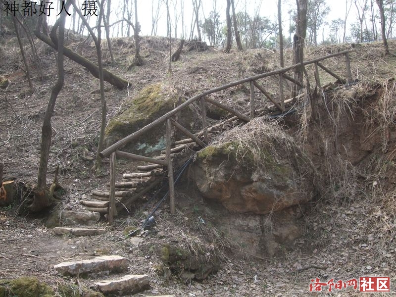 DSCF4163.JPG