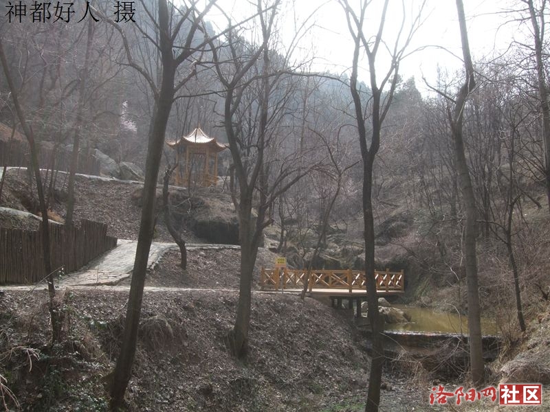 DSCF4173.JPG