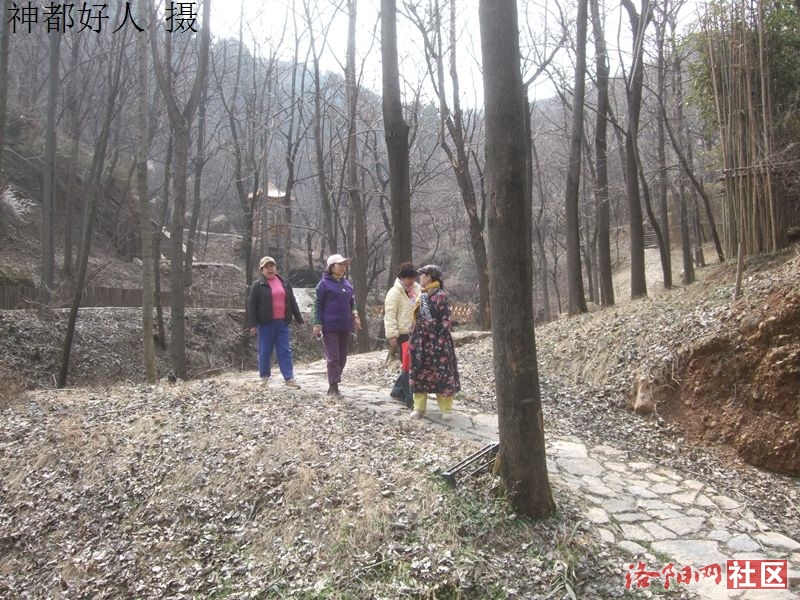 DSCF4176.JPG