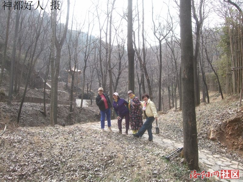 DSCF4177.JPG