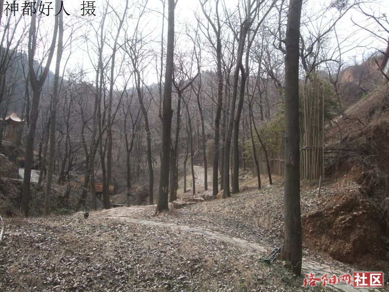 DSCF4178.JPG