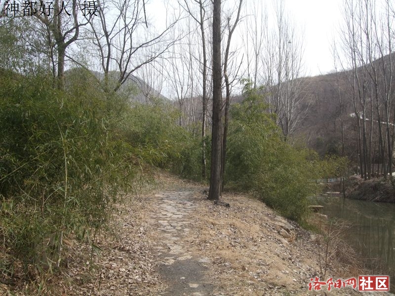 DSCF4183.JPG