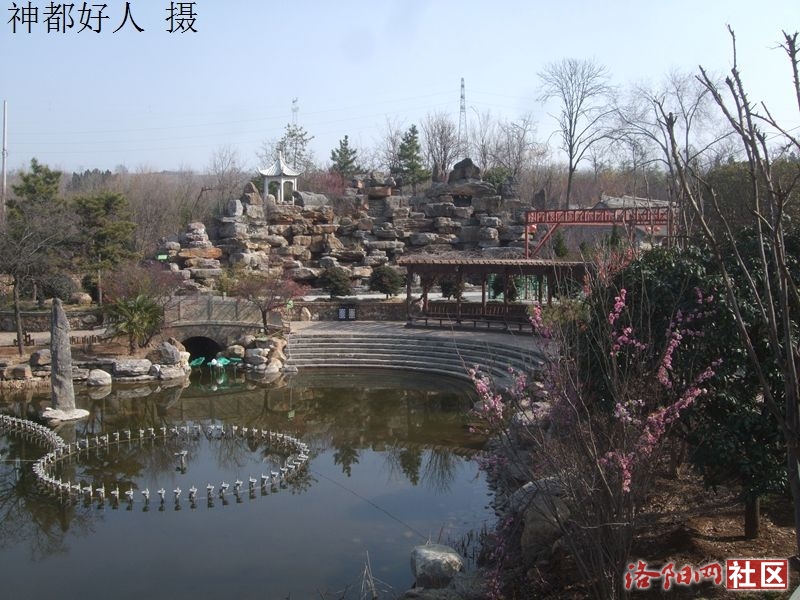 DSCF4031.JPG