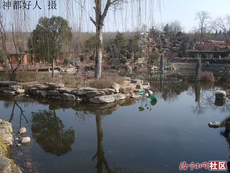 DSCF4039.JPG
