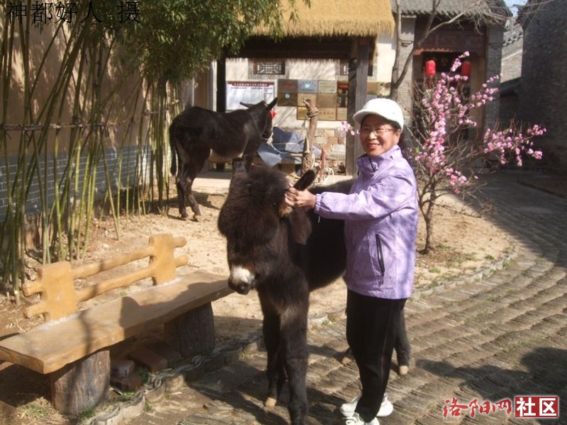 DSCF4072.JPG