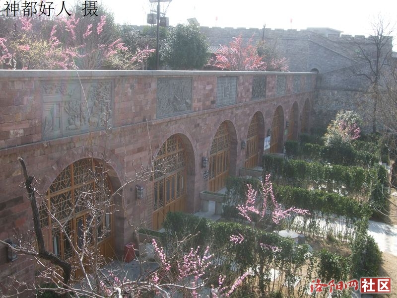 DSCF4090.JPG