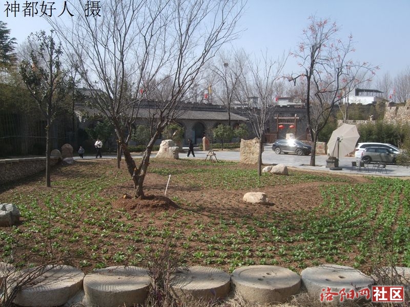 DSCF4110.JPG