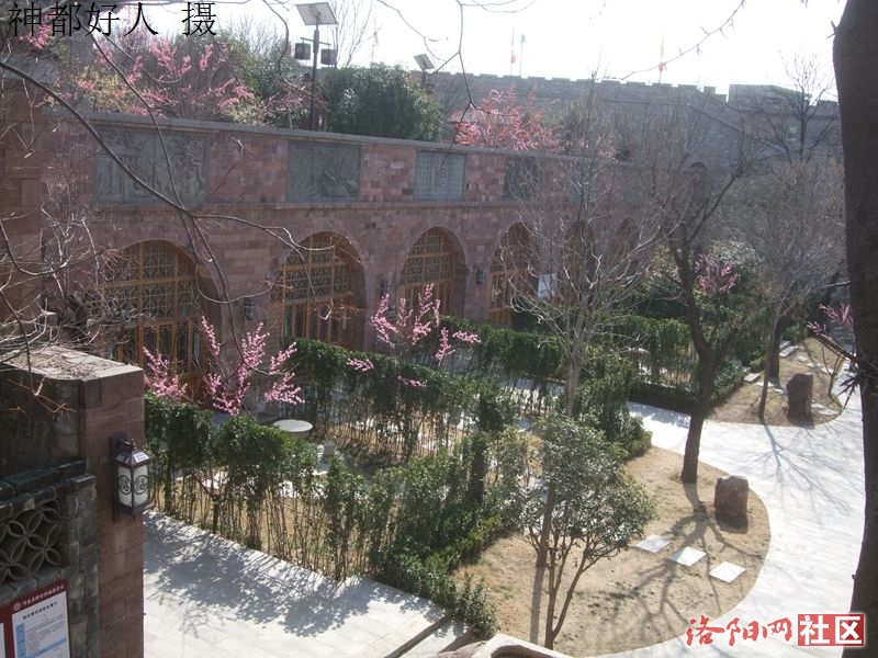 DSCF4111.JPG