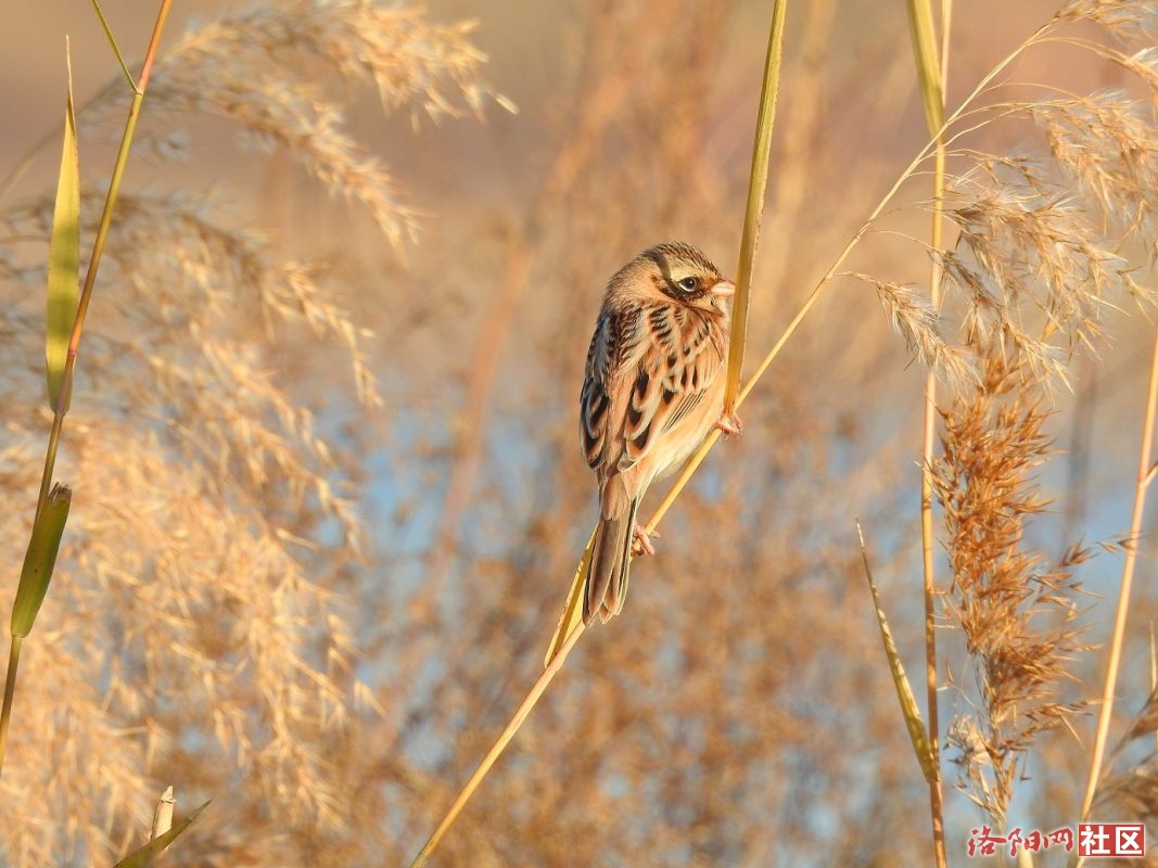 DSCN8900-3.jpg