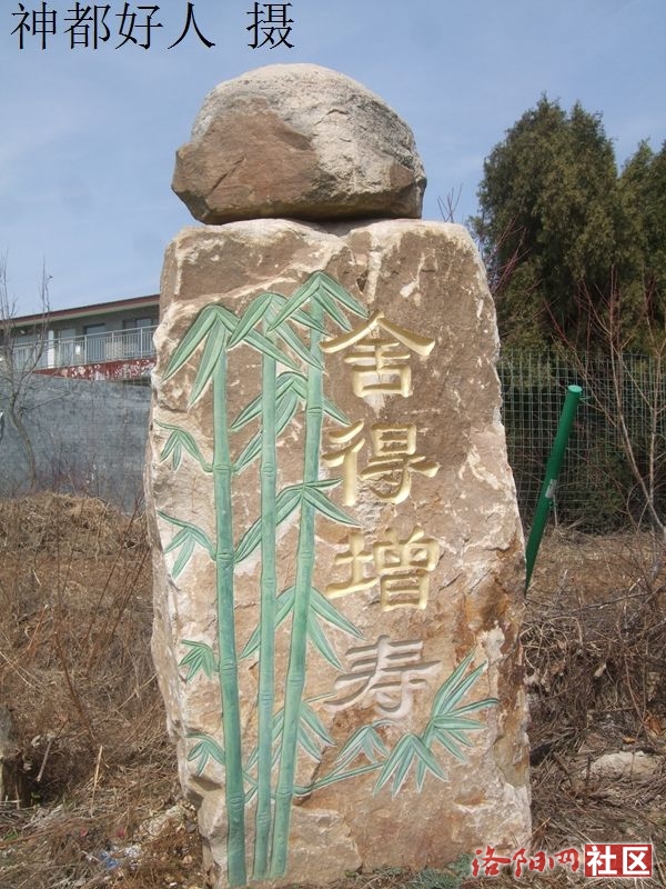 DSCF4141.JPG