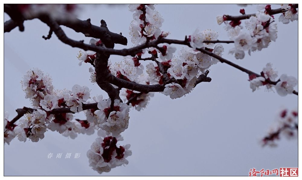 AAA_1530_.jpg