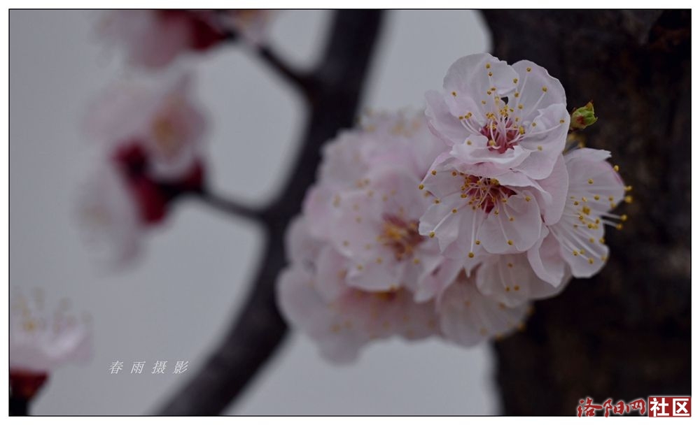 AAA_1533_.jpg