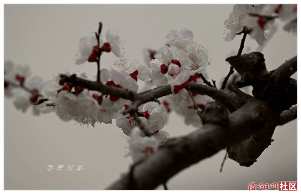 AAA_1539_.jpg