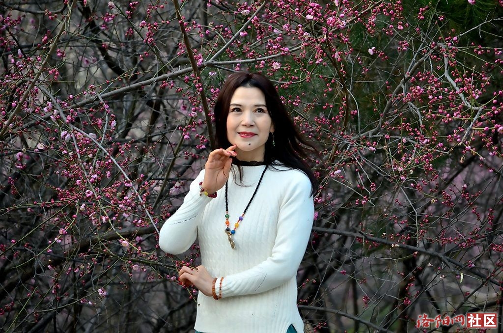 91.JPG