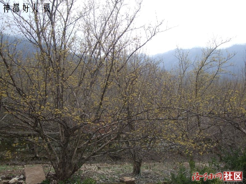 DSCF4005.JPG