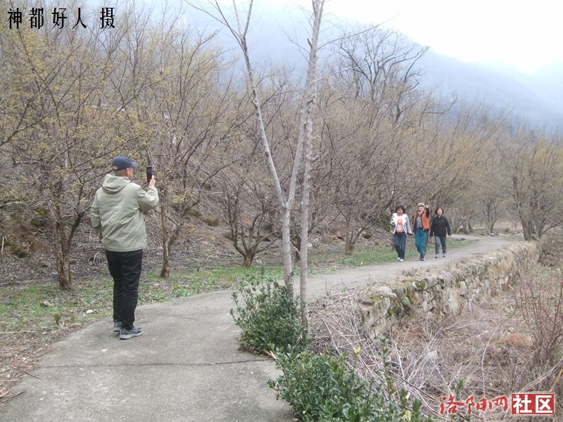 DSCF4006.JPG