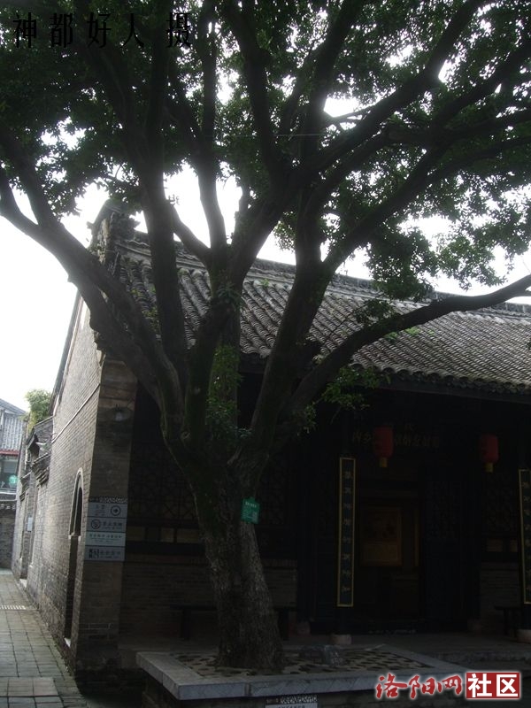 DSCF4104.JPG