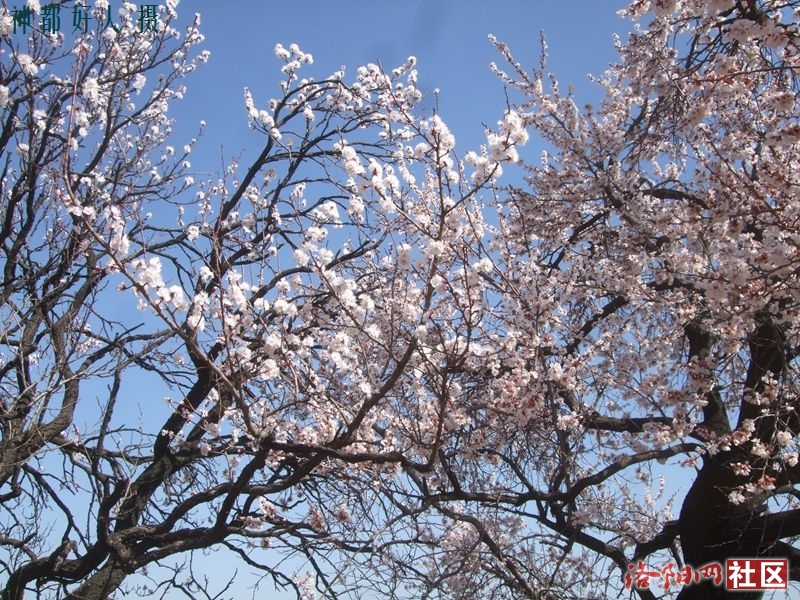 DSCF4006.JPG