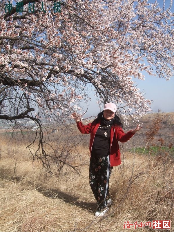 DSCF4008.JPG