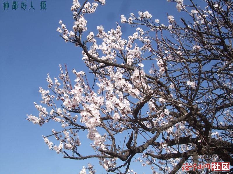 DSCF4013.JPG