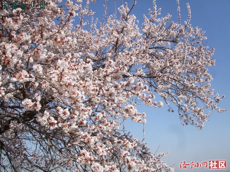 DSCF4015.JPG