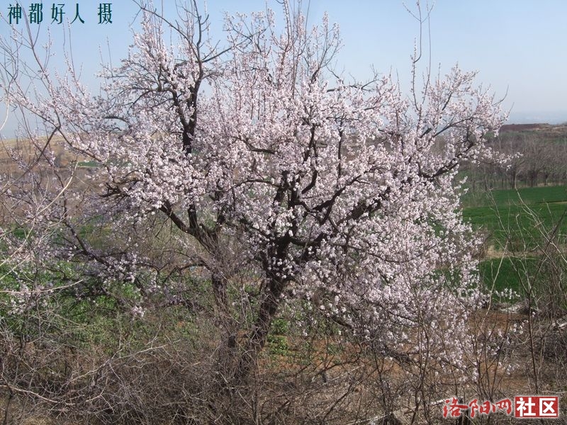 DSCF4016.JPG