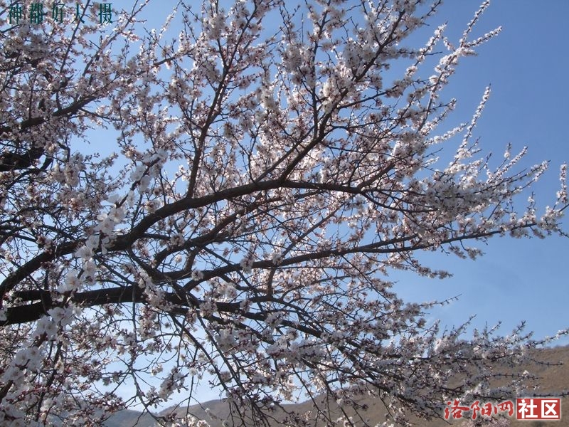 DSCF4018.JPG