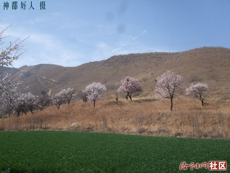 DSCF4017.JPG
