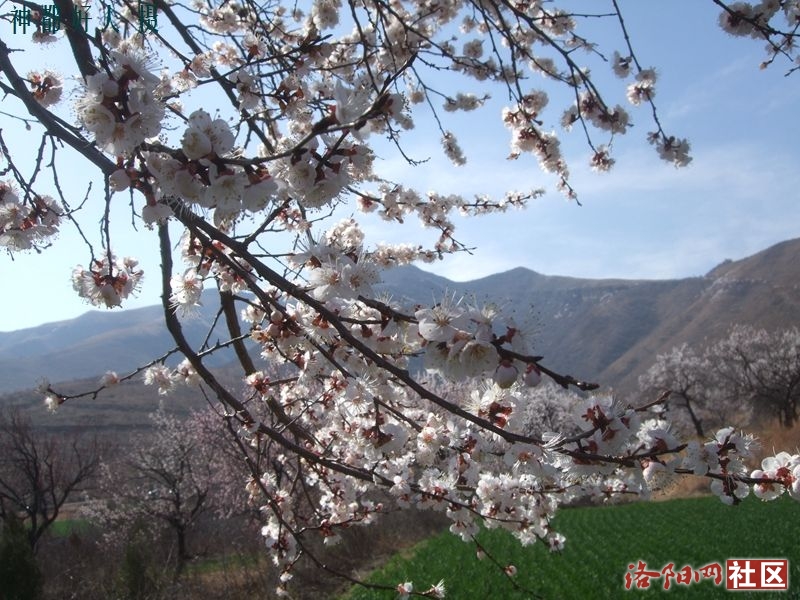 DSCF4019.JPG