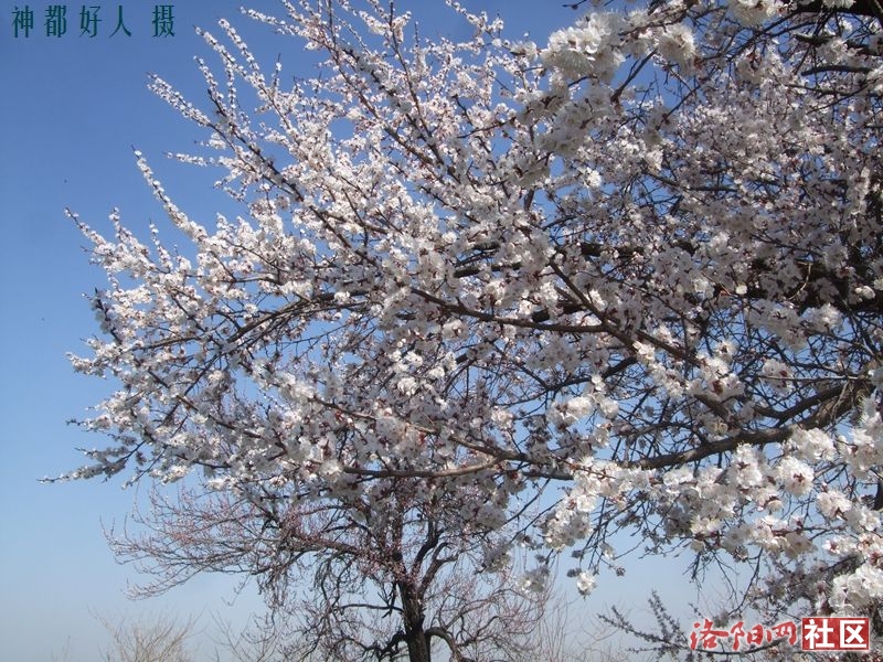 DSCF4020.JPG