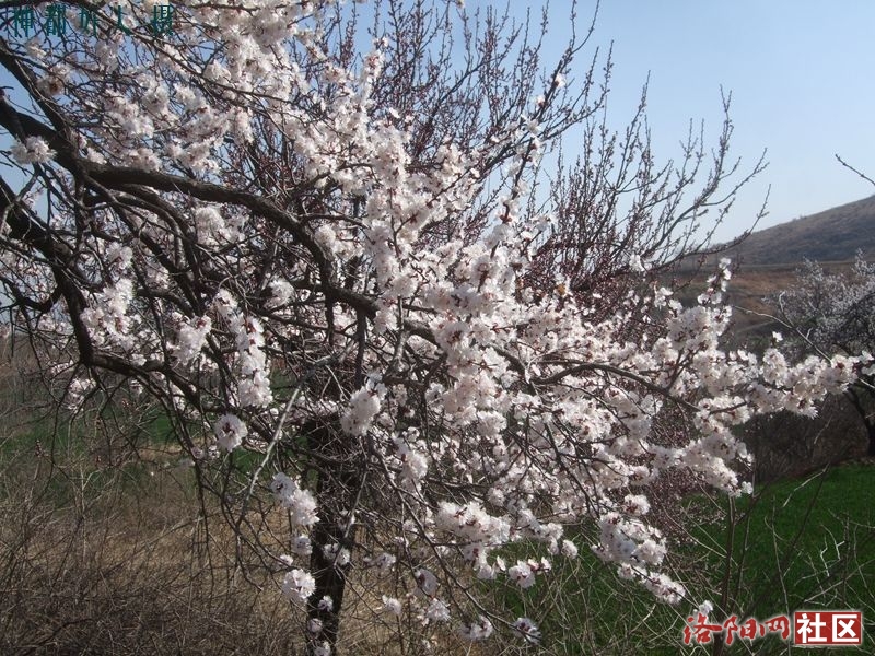 DSCF4021.JPG