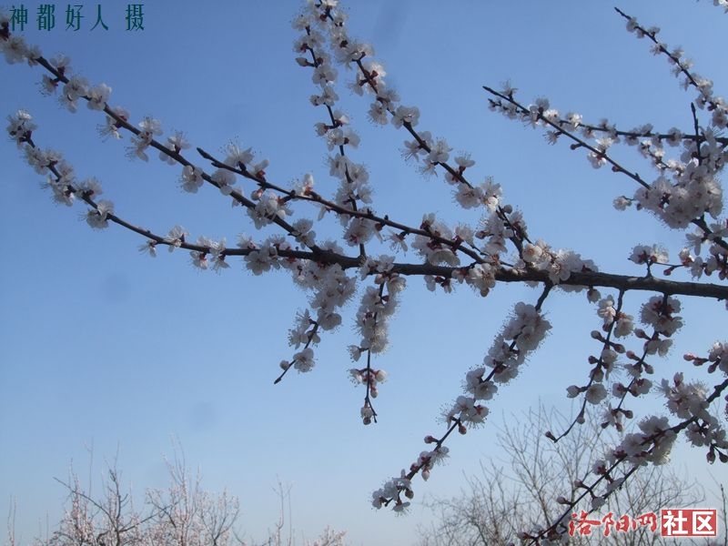 DSCF4022.JPG