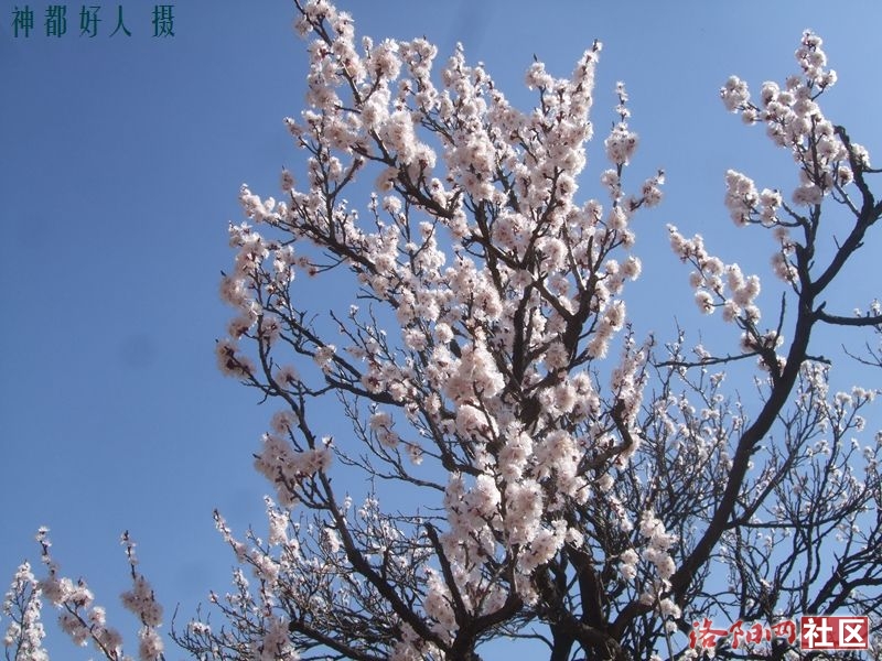 DSCF4029.JPG