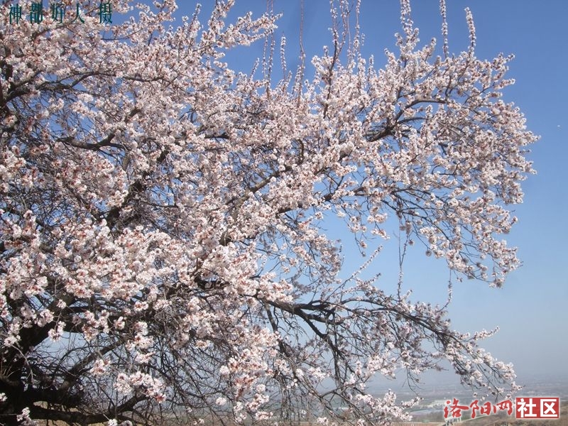 DSCF4030.JPG
