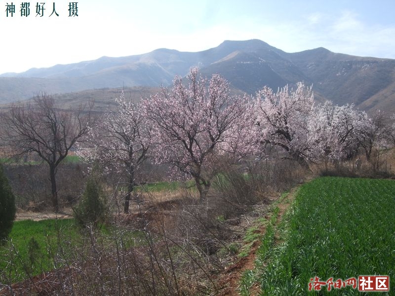 DSCF4031.JPG
