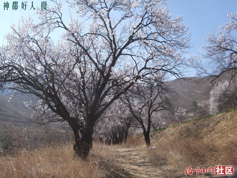 DSCF4032.JPG