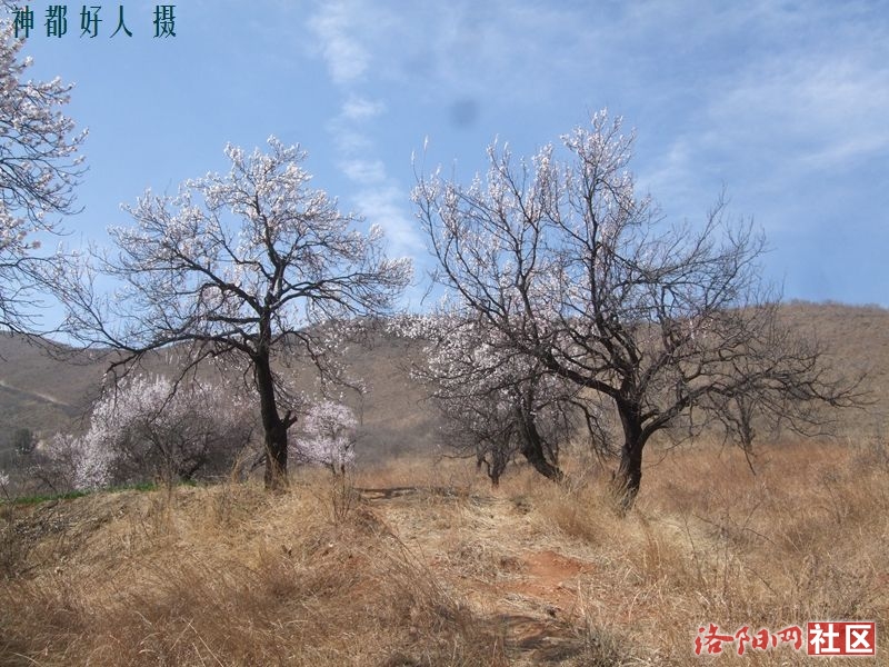 DSCF4033.JPG