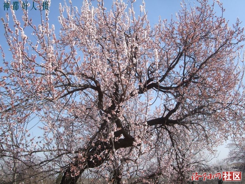 DSCF4034.JPG