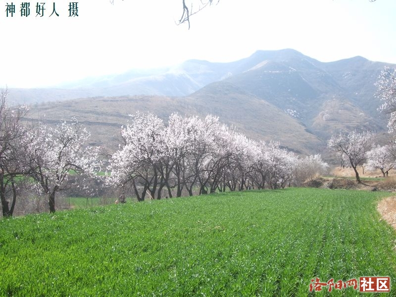 DSCF4036.JPG