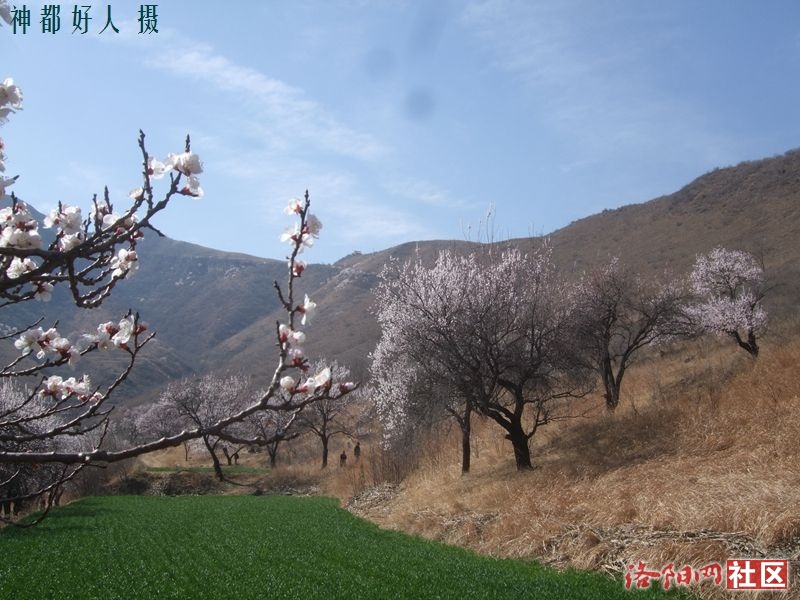 DSCF4037.JPG
