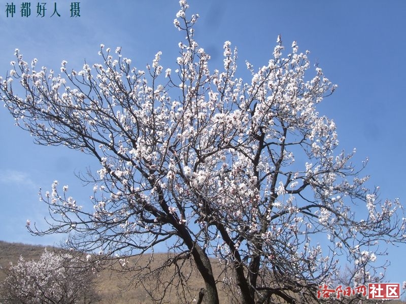 DSCF4038.JPG