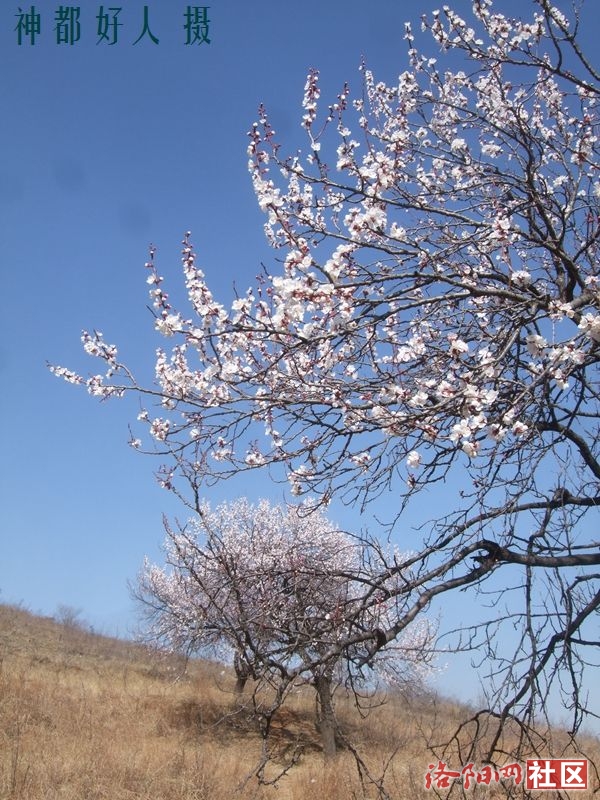 DSCF4039.JPG