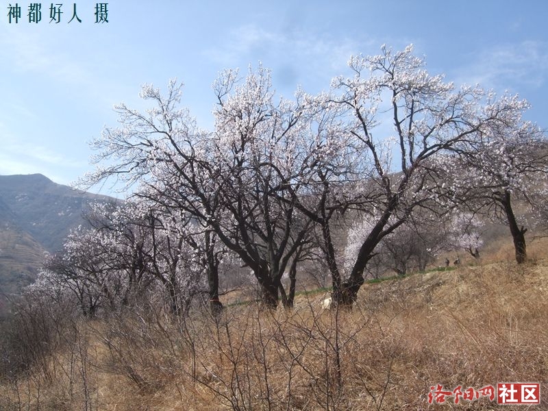 DSCF4044.JPG