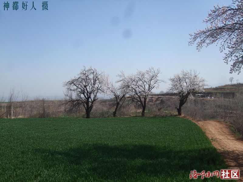 DSCF4045.JPG