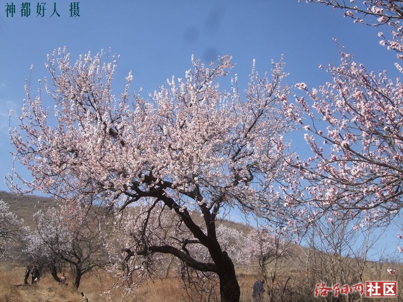 DSCF4046.JPG
