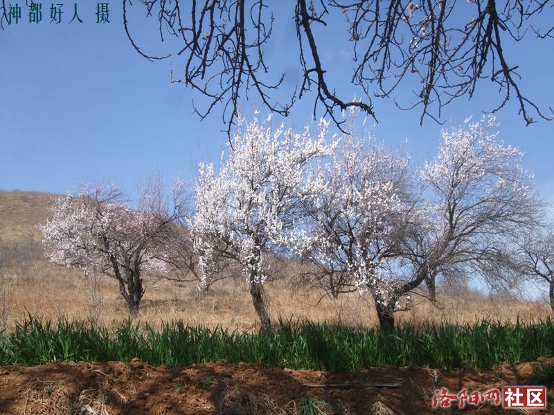 DSCF4055.JPG
