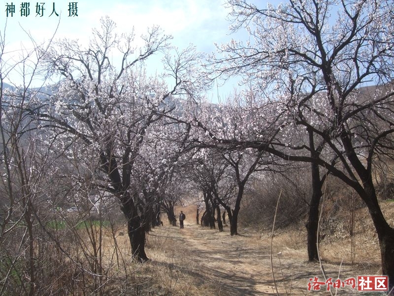 DSCF4056.JPG