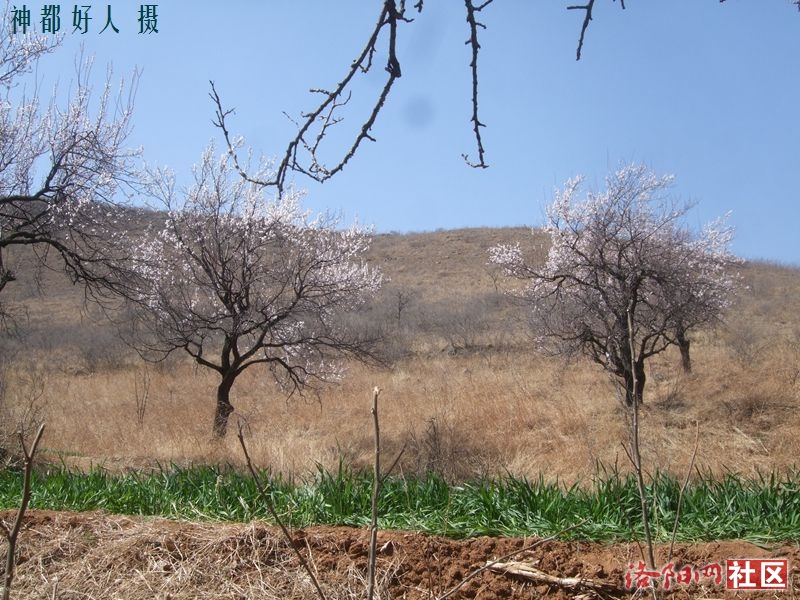 DSCF4060.JPG