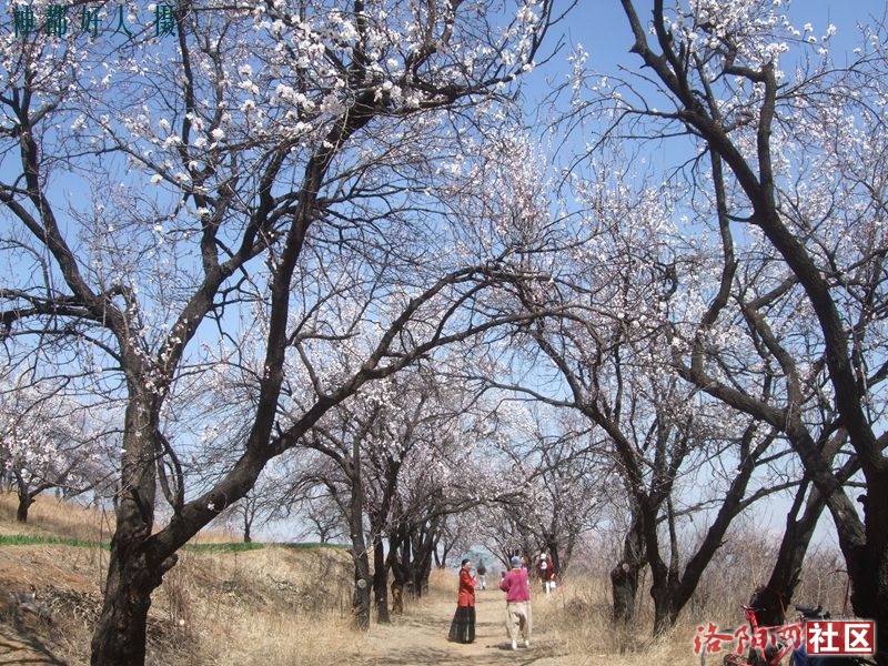 DSCF4061.JPG