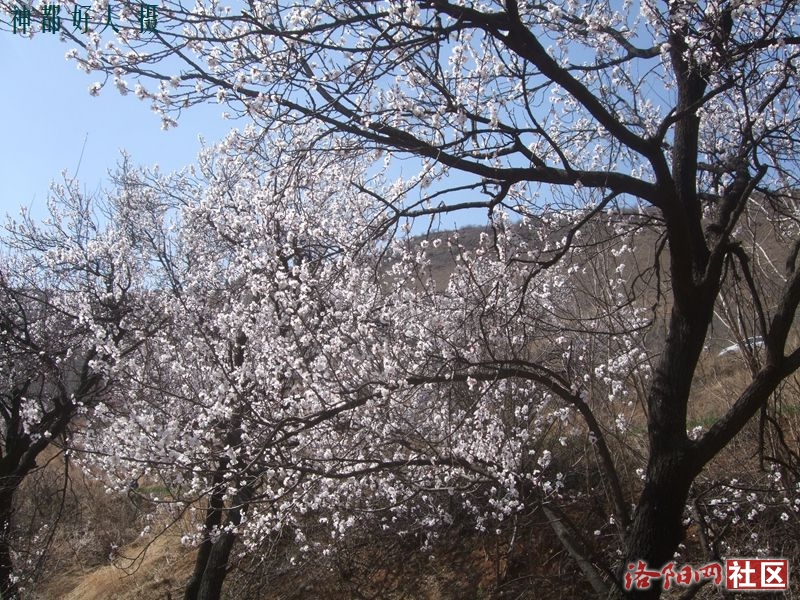 DSCF4062.JPG
